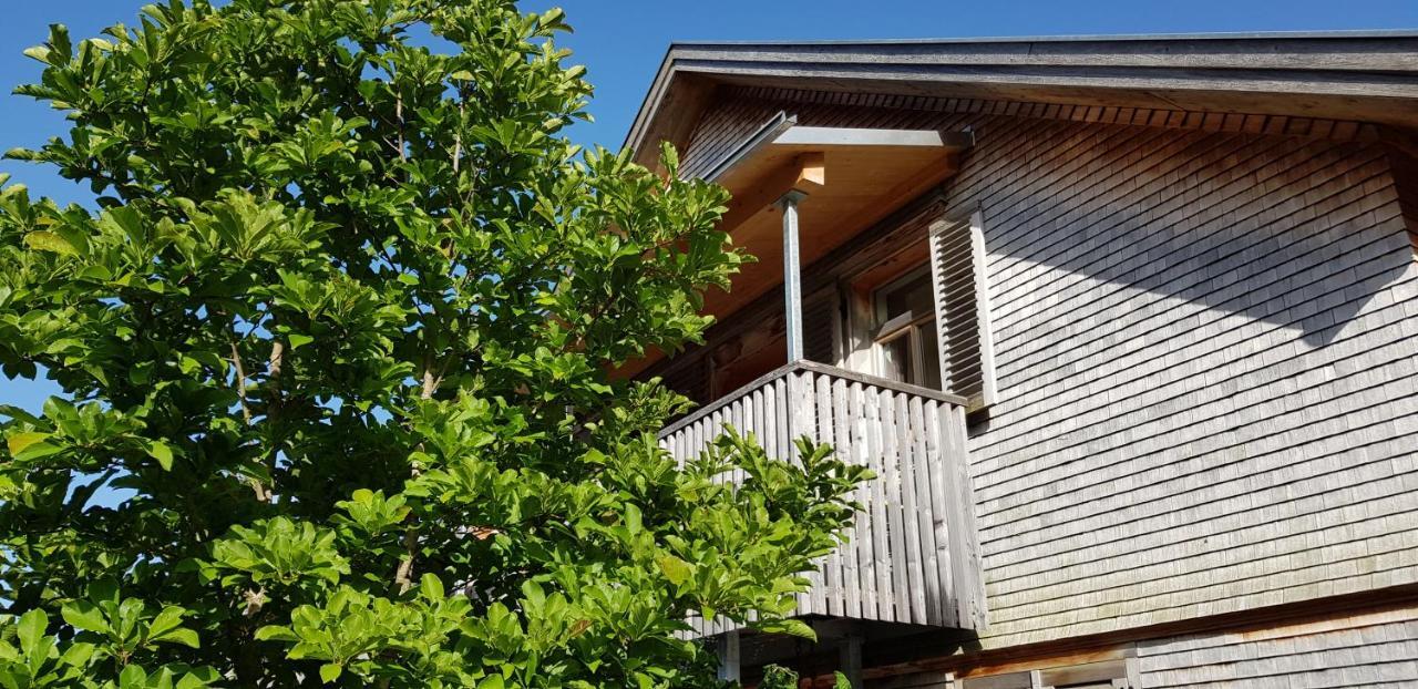 Ferienwohnung Wuestner ชวาร์สเซนแบร์ก อิม เบรเกนซ์แอร์วัลด์ ภายนอก รูปภาพ